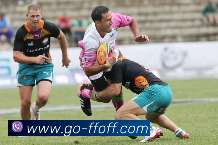 App Interface Preview